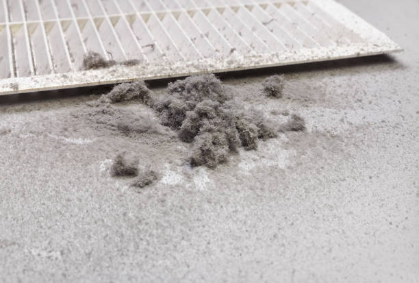 Best Home Air Vent Cleaning  in Mount Angel, OR